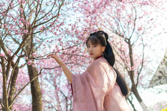 girl in hanfu