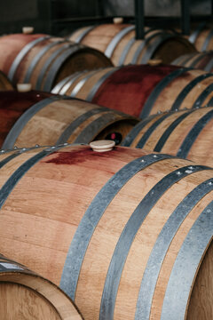 Red wine barrels