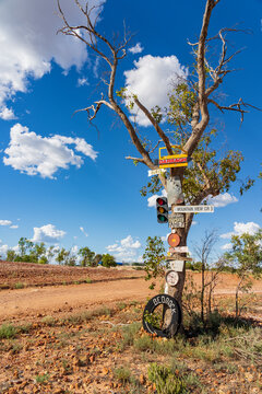 A bent old tree with variety of rustic signs attached next to a dirt road in the outback