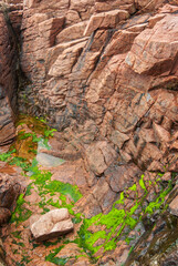 Thunder Hole at Acadia National Park