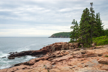 Fototapeta na wymiar Rocky Coast of Acadia National Park