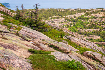 Fototapeta na wymiar Cadillac Mountain at Acadia National Park