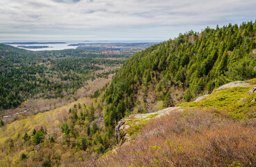 Fototapeta na wymiar Overlook at Acadia National Park