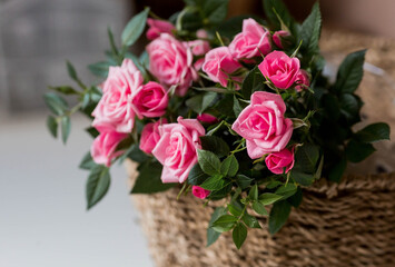 Care of home plants at home. Homemade flowers. Roses on the window in stylish wicker baskets. Growing plants.