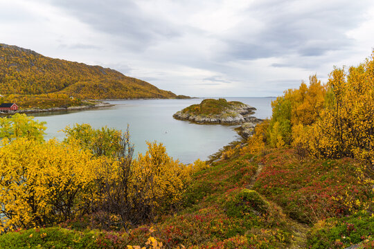 Jekthamna is a small but beautiful inlet surrounded by trees in autumnal colors in Senja island, Troms og Finnmark, Norway
