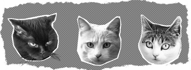 Cat heads halftone texture art collage. Any purpose illustration.