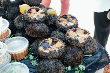 Sea urchins caviar in a street shop on a market 