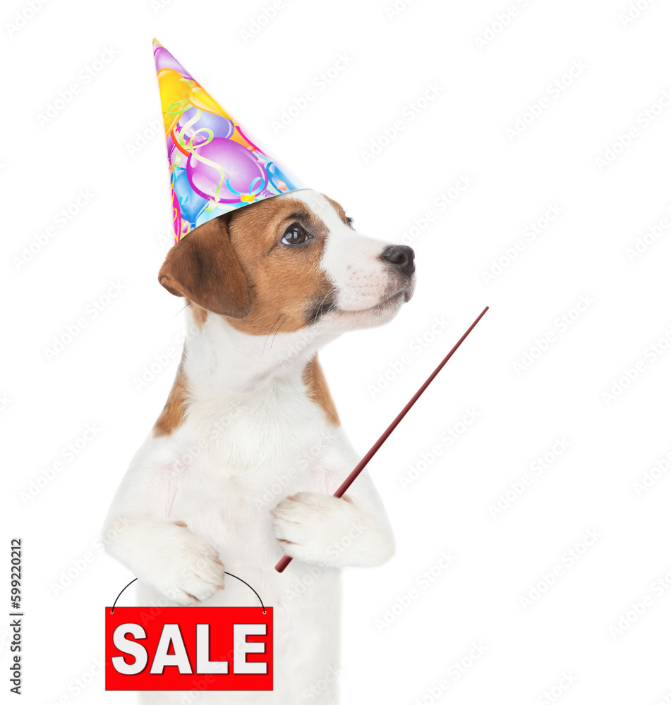 Poster jack russell terrier puppy wearing a party cap shows signboard with labeled 