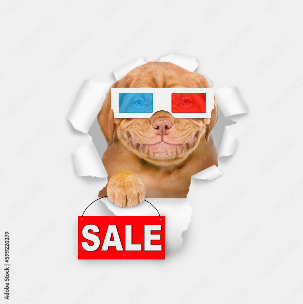 Poster smiling puppy wearing 3d glasses looking through the hole in white paper and shows signboard with la
