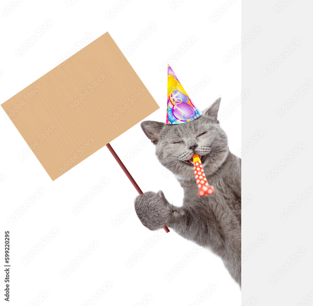 Poster happy cat wearing party's cap looks from behind empty white banner and shows empty placard. isolated
