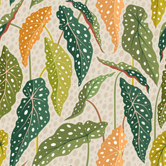 Polka Dot Begonia/Begonia Maculata leaves. Colorful seamless vector pattern