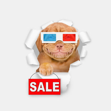 Smiling puppy wearing 3d glasses looking through the hole in white paper and shows signboard with labeled "sale"