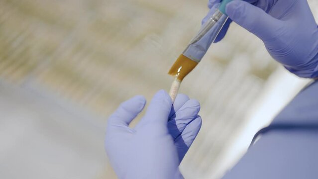 Worker preparing pre-roll joint with Marijuana Kief Infusion, Close-up shot