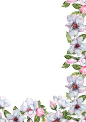Corner rectangular flower frame. Spring flowering branches of wild rose, apple flowers. Festive composition. Hand drawn watercolor illustration on white background for wedding invitations, cards.