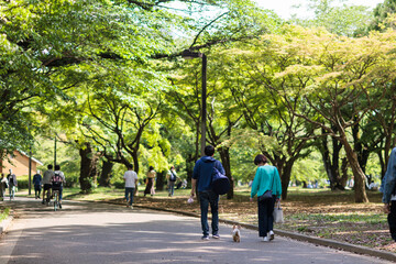 公園で犬と散歩する男女