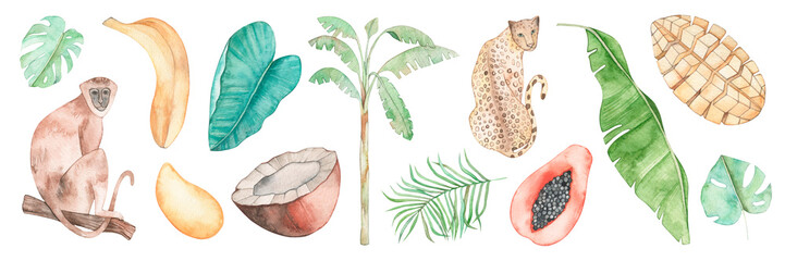Collection of watercolor tropical illustrations. Thailand symbols set. Fruits and wild animals. Papaya, banana, monkey, leopard, palm. Travel and vacation.