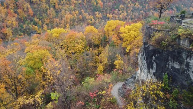 Niagara Glen In Fall Season. Vibrant Foliage Adorning Hiking Trails With Scenic Niagara River Rapids In Ontario, Canada. aerial