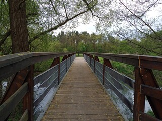 Fototapeta na wymiar wooden bridge in the forest, Nürnberg