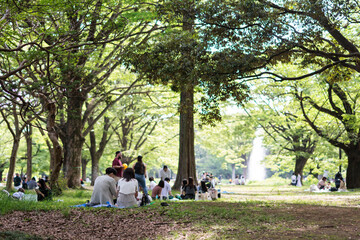 Fototapeta premium 公園でデートするカップル