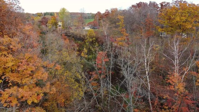 Beautiful Autumn Colors Of Tree Foliage In Niagara Region In Ontario, Canada. Aerial Drone Shot