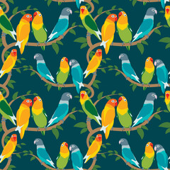 parrots in the jungle