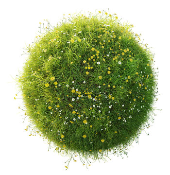 grass and flowers green planet isolated on transparent background, 3d illustration, png