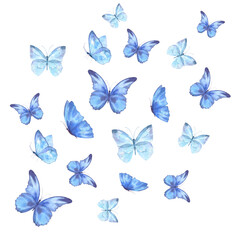 Fototapeta na wymiar Watercolor illustration, delicate blue butterflies flying in different directions, isolated on a white background. For the design and decoration of frames, banners, postcards, certificate.