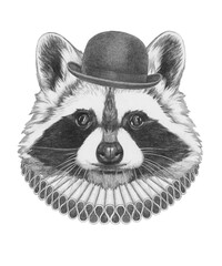 Portrat of Raccoon with Elizabethan Collar and Bowler Hat. Hand-drawn illustration