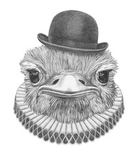 Portrat of Ostrich with Elizabethan Collar and Bowler Hat. Hand-drawn illustration