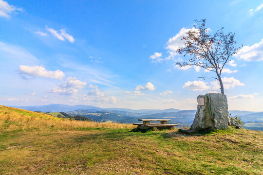 Sightseeing and resting place with a wooden bench on the Ochodzita mountain in Koniak&oacute;w with a view of the peaks in the Silesian Beskids (Poland) on a sunny summer day.