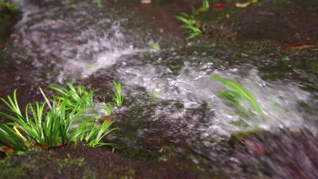 The clear stream in the valley flows down from mossy stones