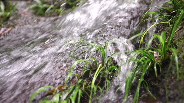 The clear stream in the valley flows down from mossy stones