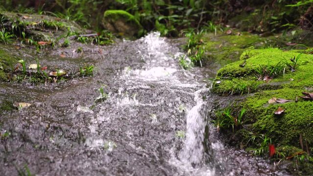 The clear stream in the valley flows down from mossy stones