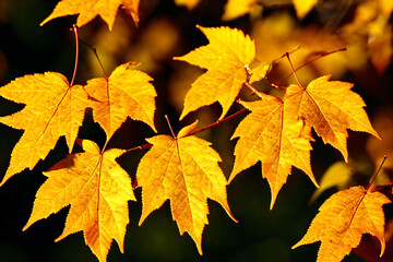autumn leaves background generative ai