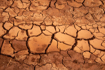 Textura de chão seco e rachado. Conceito de falta de chuva e impacto ambiental.