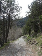 Parque Natural Posets Maladeta, Huesca, España