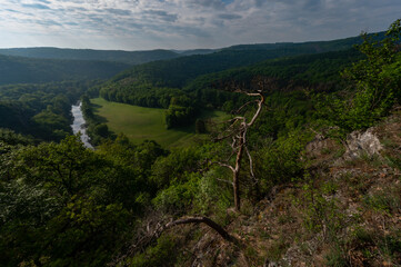 View of the meandering river, forest of fog and sunset in the Podyjí meadow National Park in...