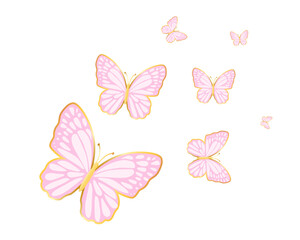 butterflies pink golden glitter