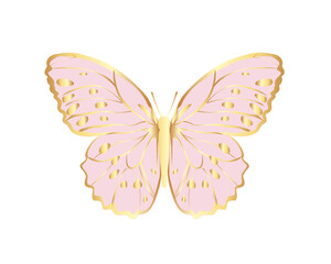 Obraz na płótnie Canvas butterfly on white background