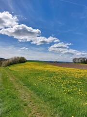 field and sky