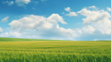 Fototapeta premium Rural landscape with wheat field on sunset. AI Generative