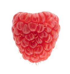 isolated close-up photo of raspberry