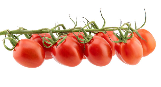 isolated close-up photo of cherry tomatoes