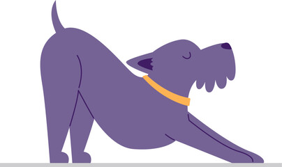 Obraz premium Dog Doing Yoga