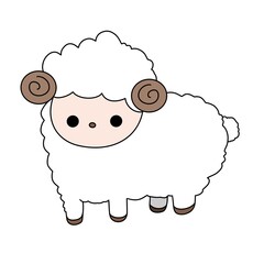 Cute sheep