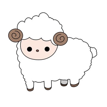 Cute sheep