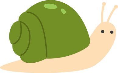 Snail Insect Animal © Mykola Syvak