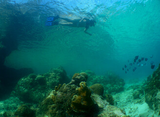 Naklejka na ściany i meble snorkeling in the crystal clear waters of the caribbean sea