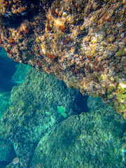 Naklejka na ściany i meble Vista subacquea Fondaco del Prete