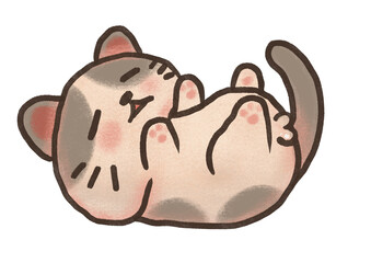 Sleep cat2